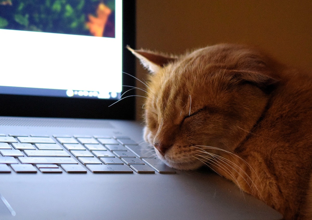 Come trovare la concentrazione per scrivere gli articoli del tuo blog: 5 consigli
