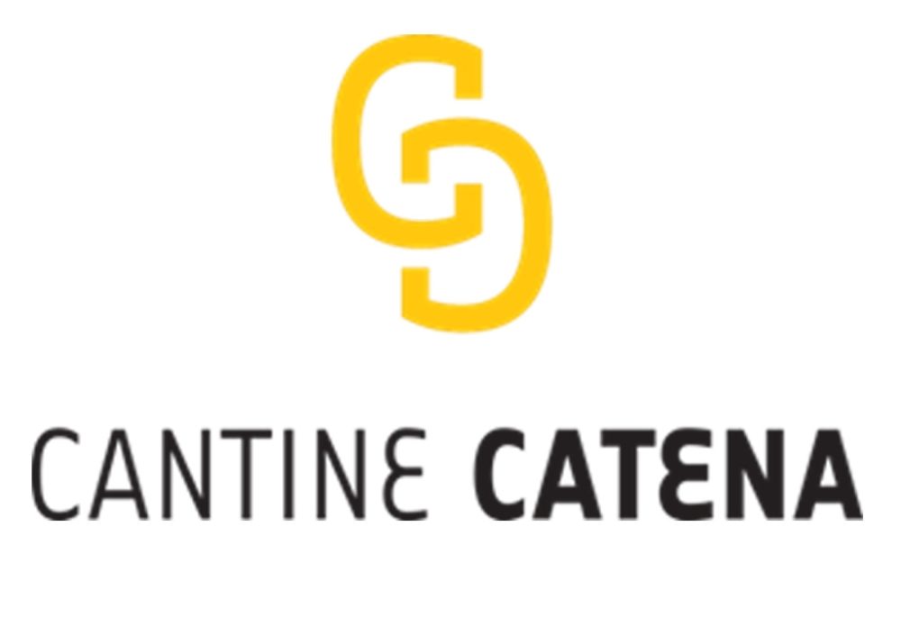 Portfolio creazione sito web ecommerce: Cantine Catena