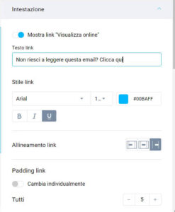 link Visualizza online in newsletter